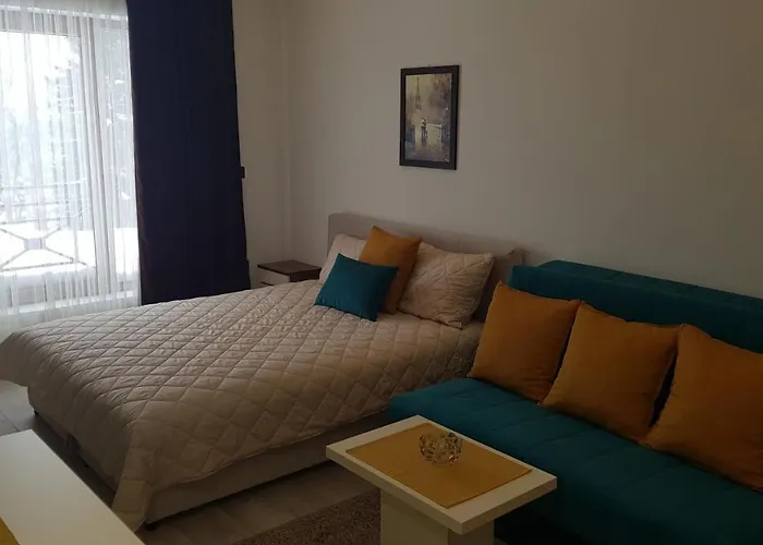 Daire Andre P05 Milmari Kopaonik